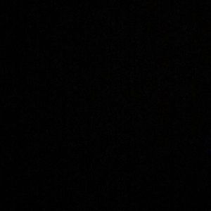 Meet your Posher, Marlene